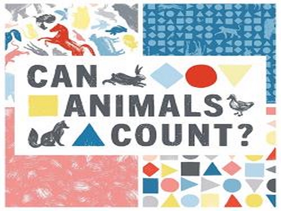 Can Animals Count